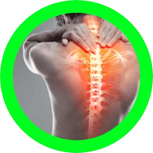 5-removebg-preview 5-removebg-preview